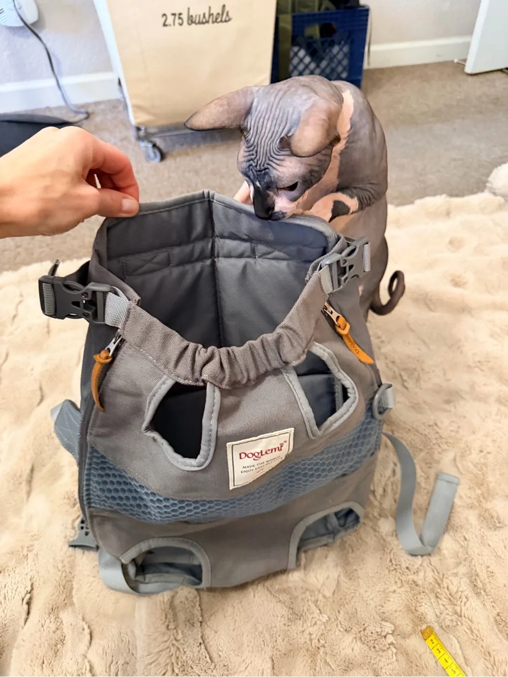 DogLemi Legs-Out Hands-Free Front/Back Pet Carrier Backpack